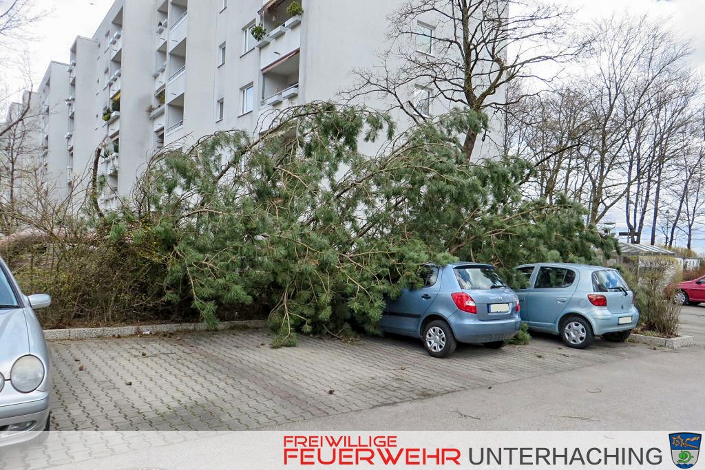 Baum auf Pkw - Sturmtief Niklas
