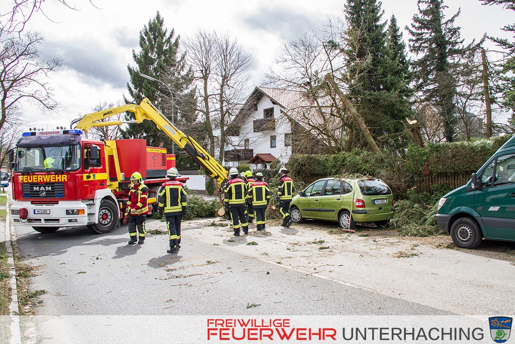 Baum über Fahrbahn - Sturmtief Niklas