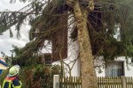 Baum auf Haus - Sturmtief Niklas