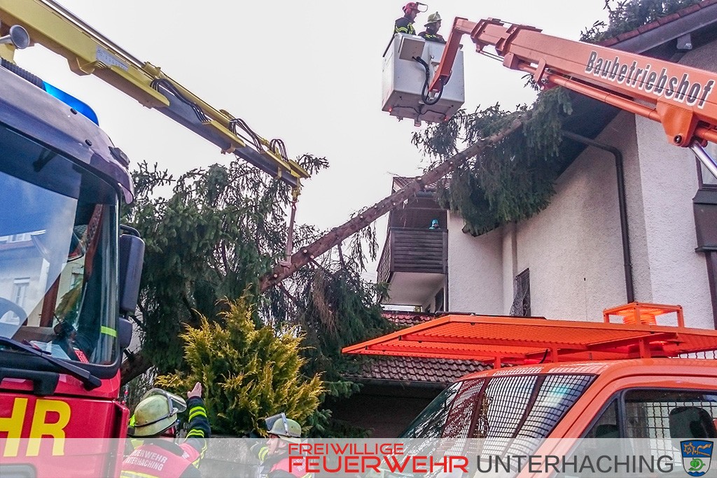 Baum auf Haus - Sturmtief Niklas