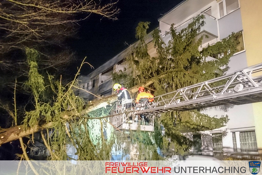 Baum auf Haus - Sturmtief Niklas