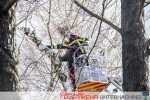 Baum droht zu fallen - Sturmtief Niklas